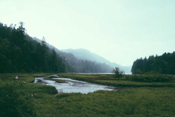 Test Blog
